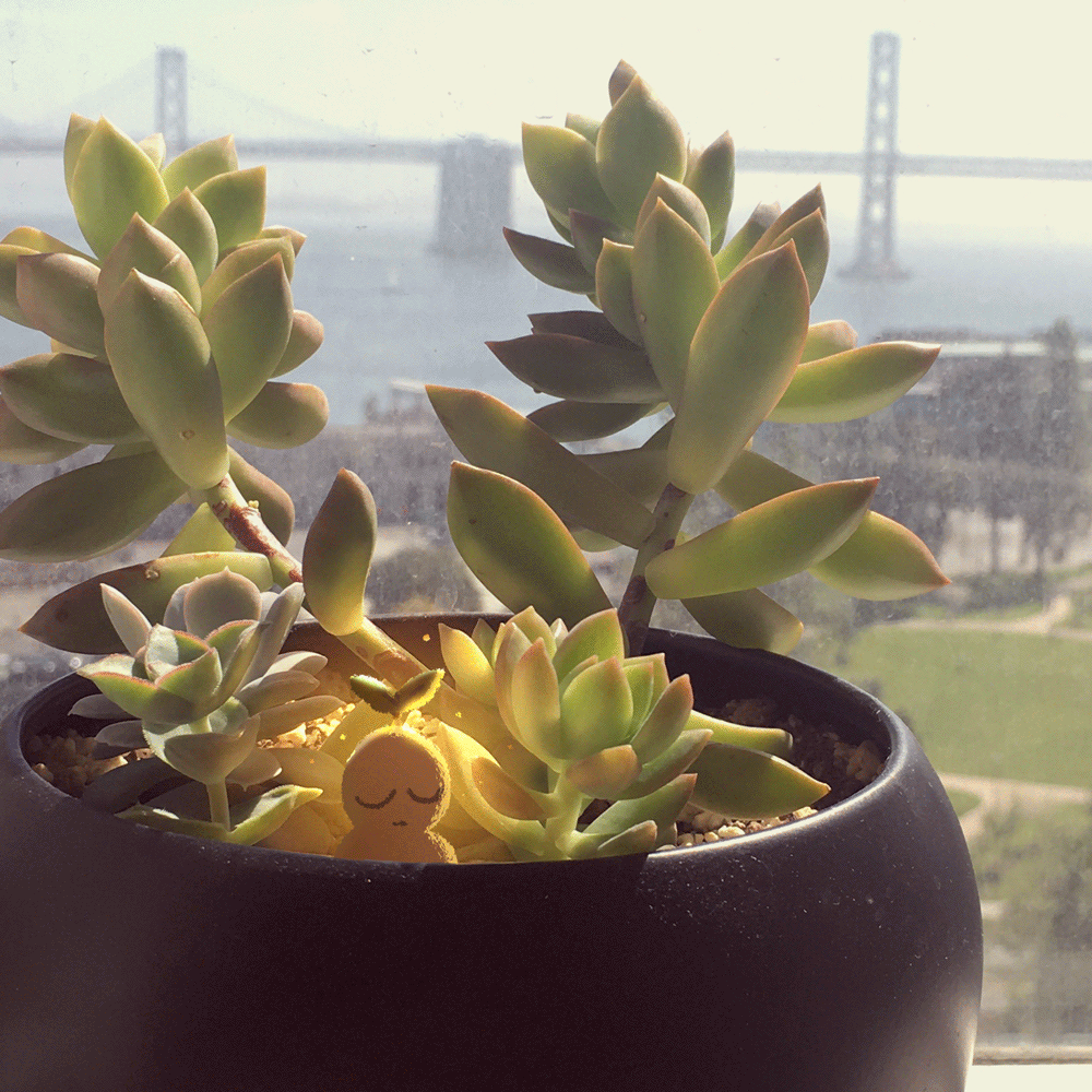 Plant Friend Plant Friend