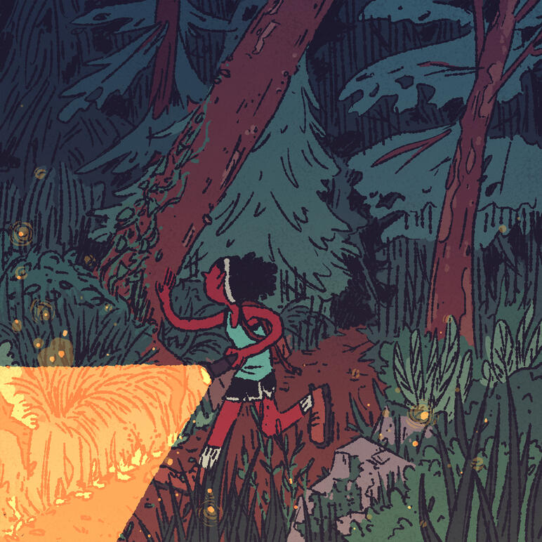 Forest Run