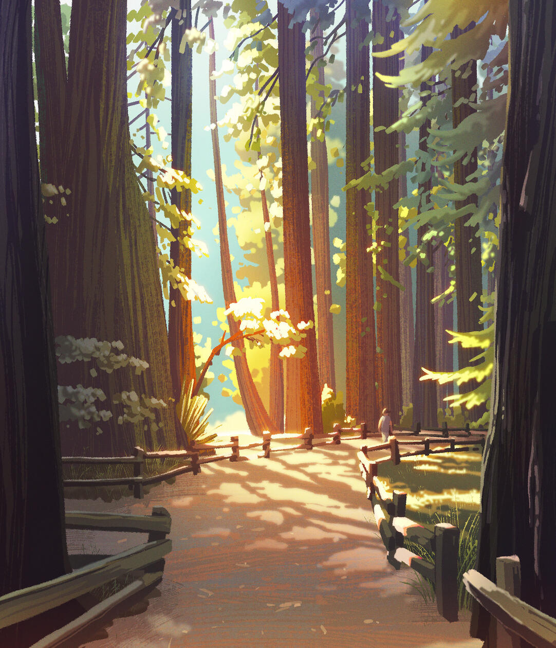 Muir Woods