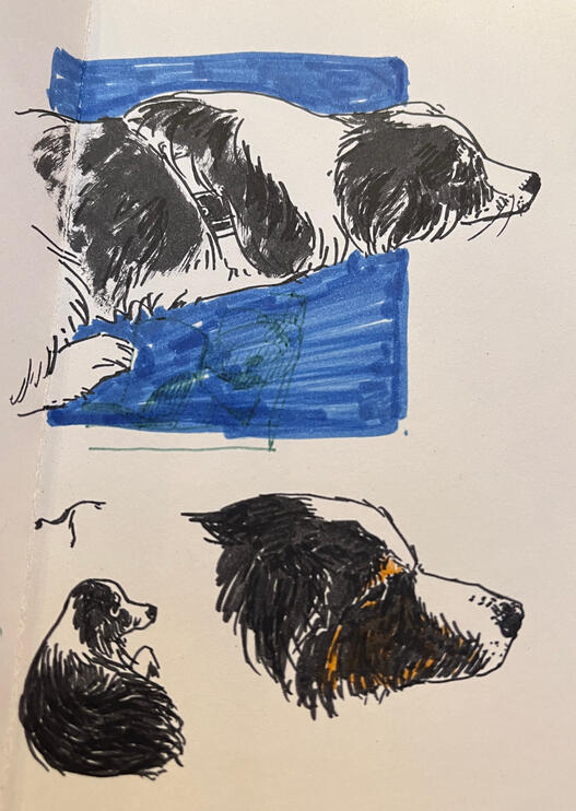 Untitled Untitled